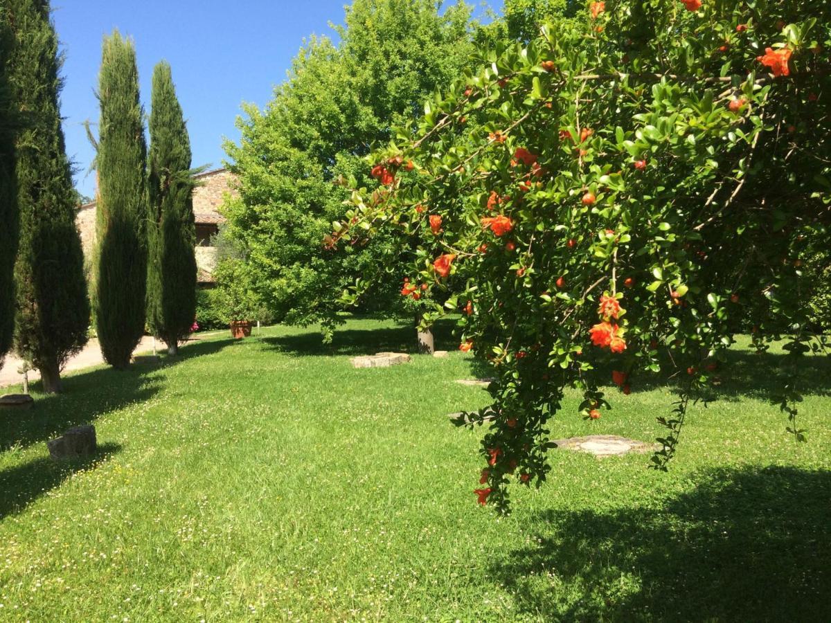 Relais Della Rovere Colle Val D'Elsa Luaran gambar